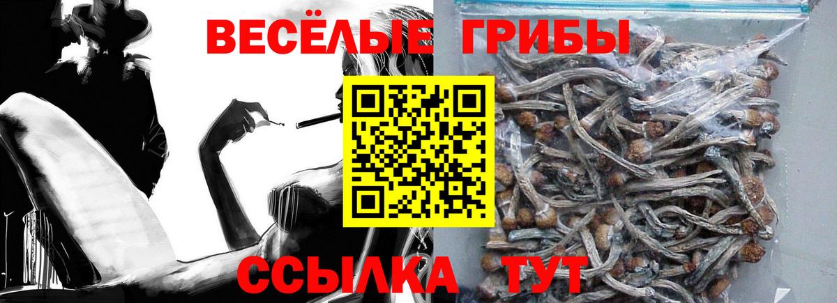 Галлюциногенные грибы мухоморы Лобня